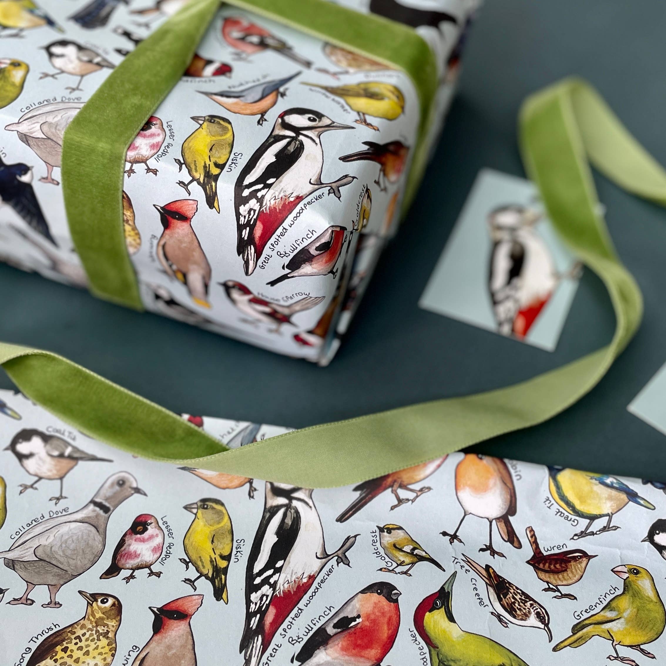Alexia Claire Ltd - Wholesale Flat Wrap - Garden Birds of Britain wrapping paper Sheets3