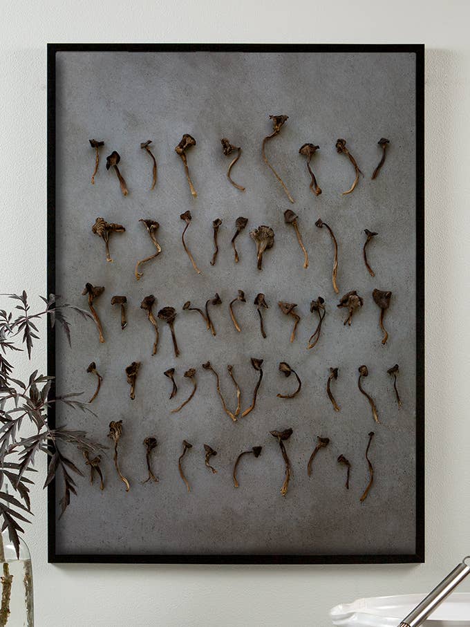 Poster Dried In Rrows, art photographique pour la vente par STOREFACTORY