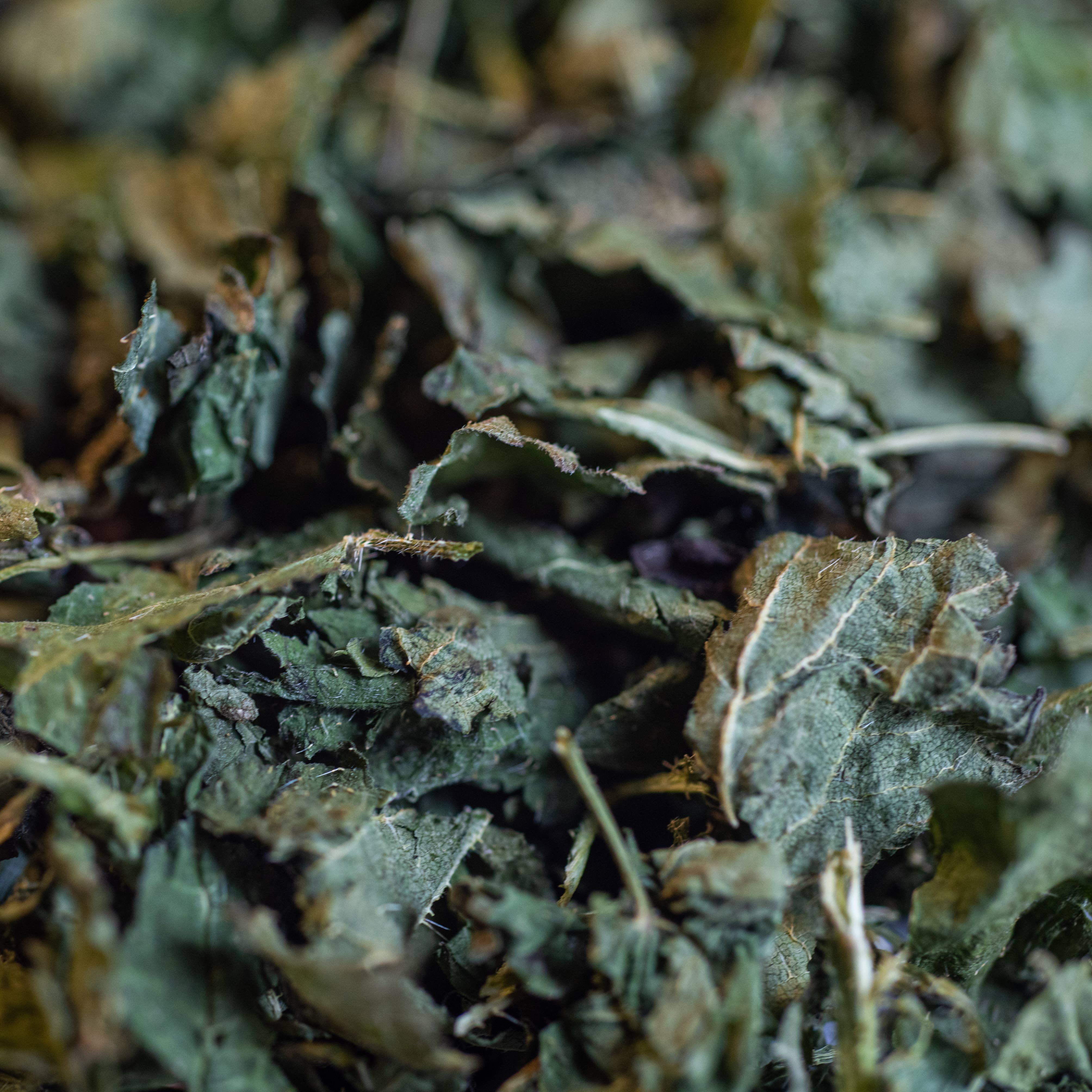 LE COMPTOIR D'HERBORISTERIE - Venta al por mayor Tés saludables/desintoxicantes - Infusión orgánica de hoja y tallo de ortiga 40 g1