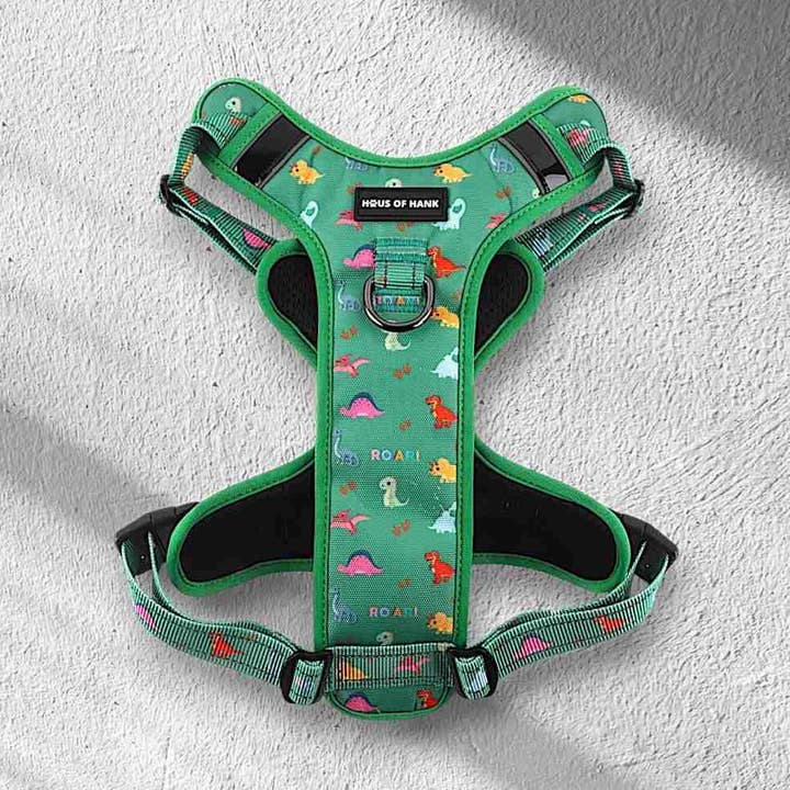 Prähistorisches Pupster-Geschirr ohne Zuggriff für den Großhandel von Haus of Hank