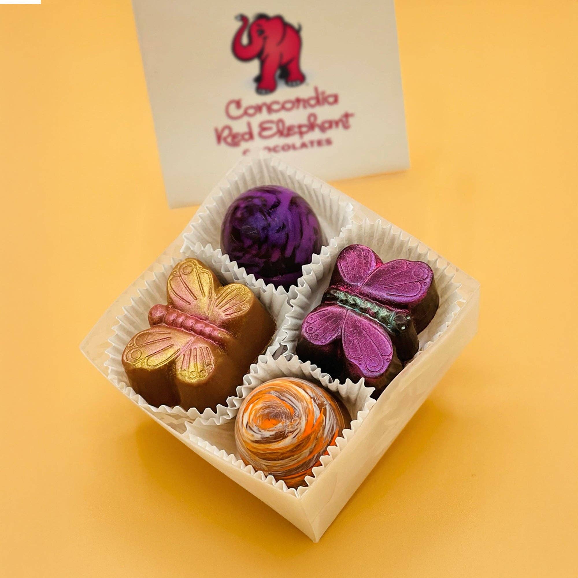 Concordia Red Elephant Chocolate - Wholesale Chocolate Box - Mimosa Inspired Chocolate Truffles Assortment Milk and Dark 0