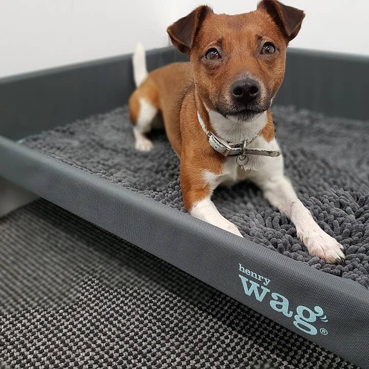Henry Wag - Wholesale Pet mat – Dog - Henry Wag Microfibre Noodle Pet Mat4