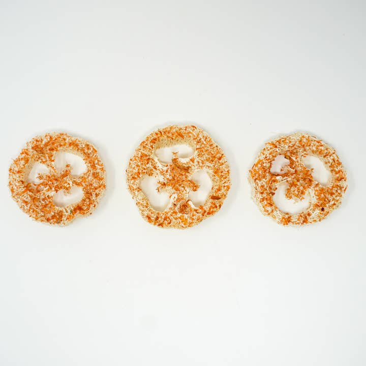 No Furries Delights - Wholesale Pet Supplement - Not Cat/Dog - Banana Carrot Flavoured Loofah (3 Pack)2