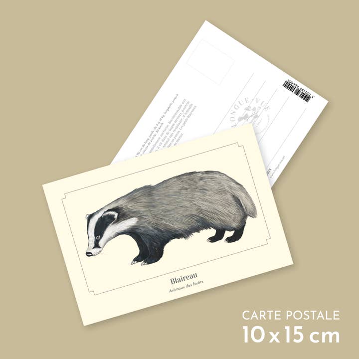 Badger - Postcard for wholesale by Longue-vue