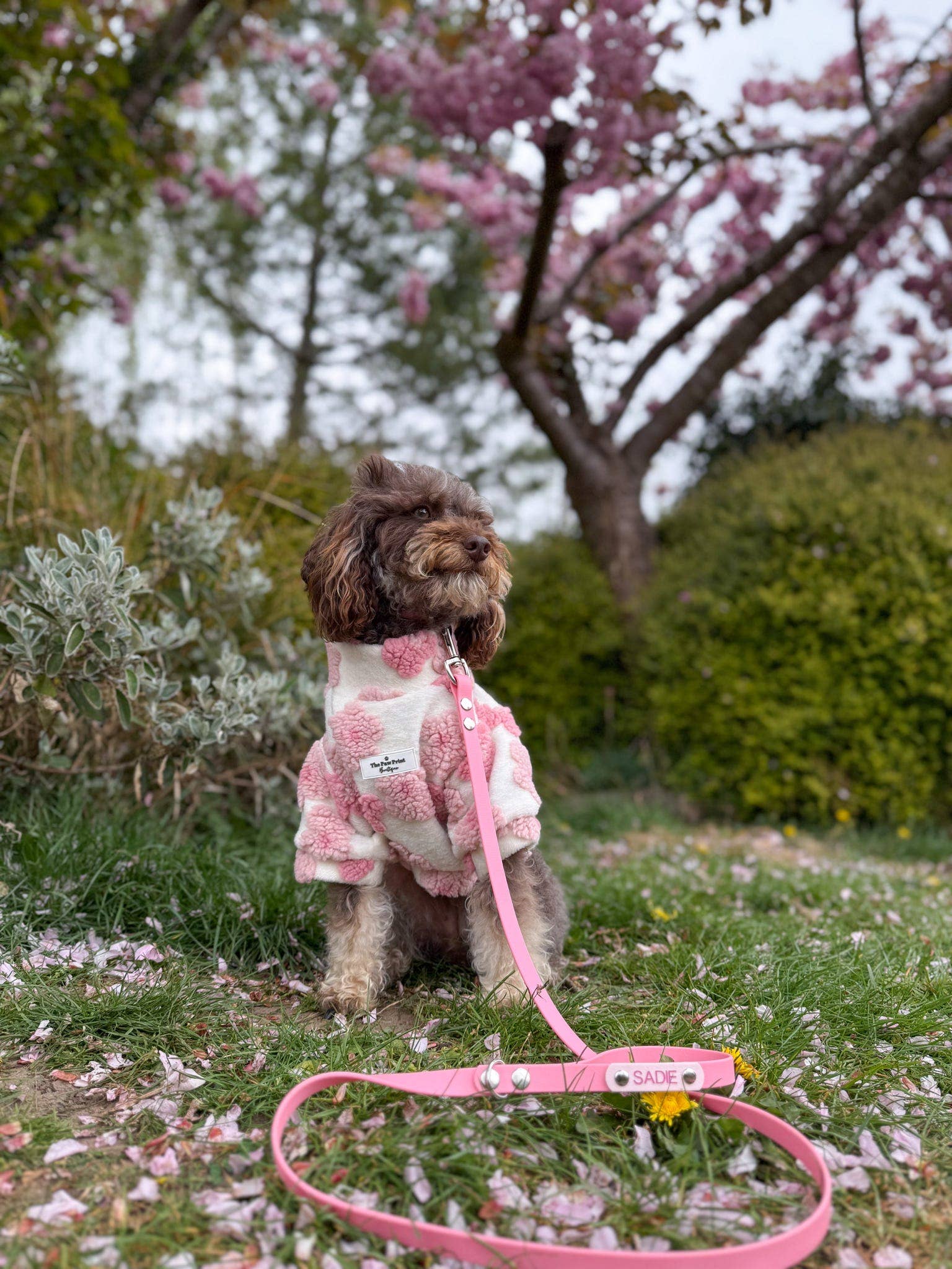 The Paw Print Boutique - Wholesale Pet Coat - Dog - The Peony Pink Floral Fleece11