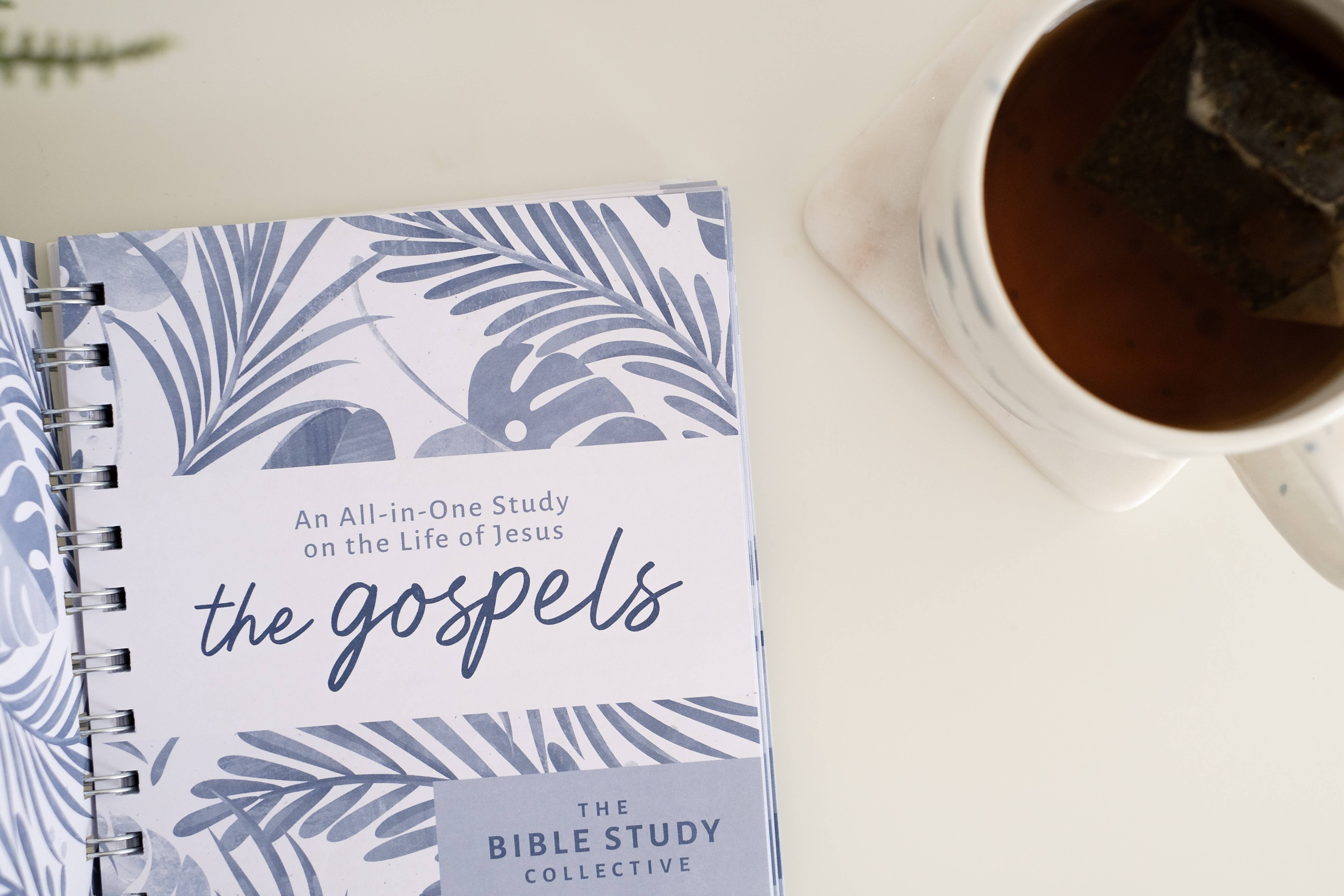Barbour Publishing, Inc. - Wholesale Religion Book - The Gospels3