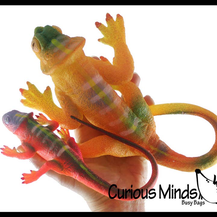 Curious Minds Toys – wholesale Fidget Toy - Barn – 1 Jumbo odla en ödla i vatten - tillsätt vatten och det växer upp