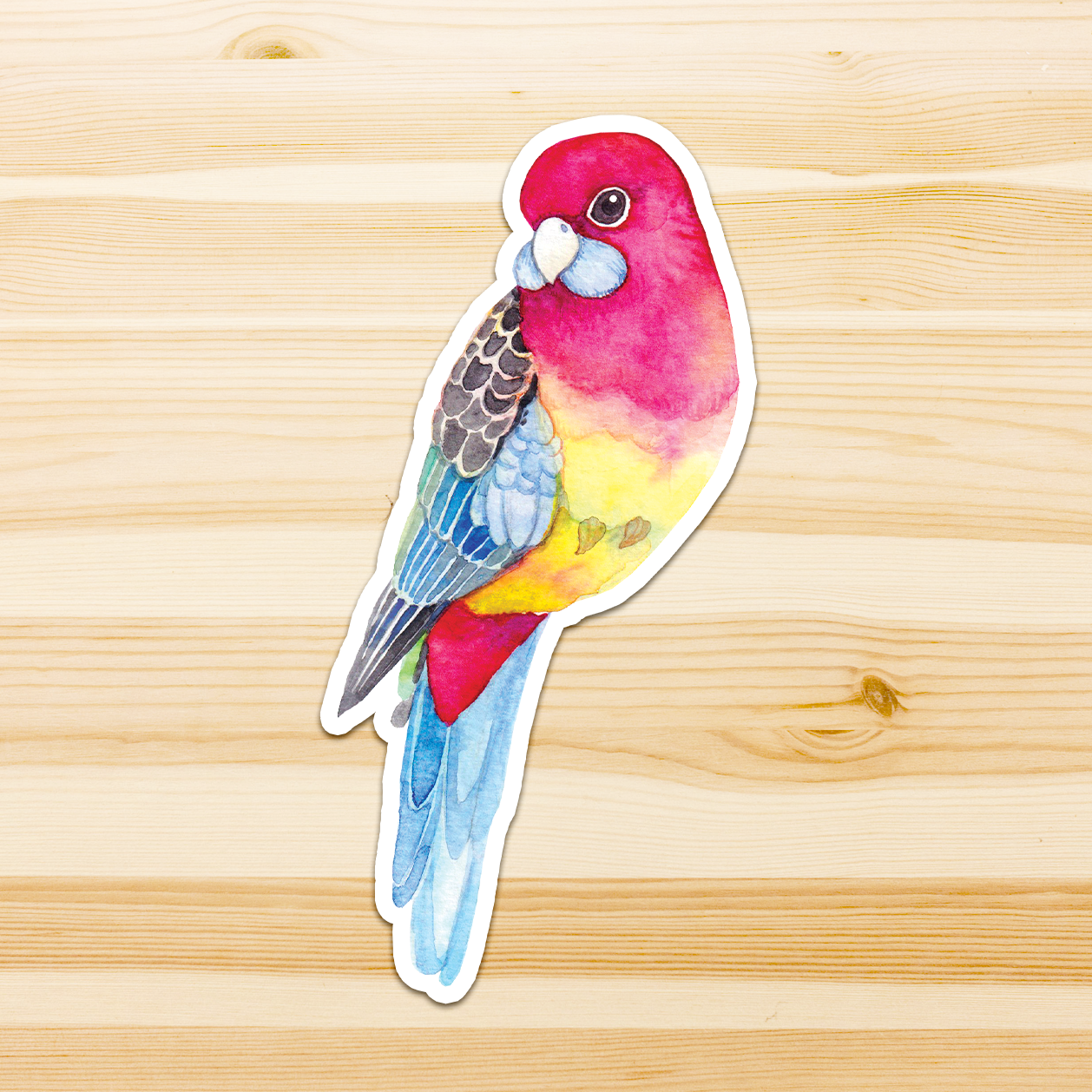 Watercolour By Cat - Vendita all'ingrosso Adesivo - Adesivo in vinile con grande uccello australiano11