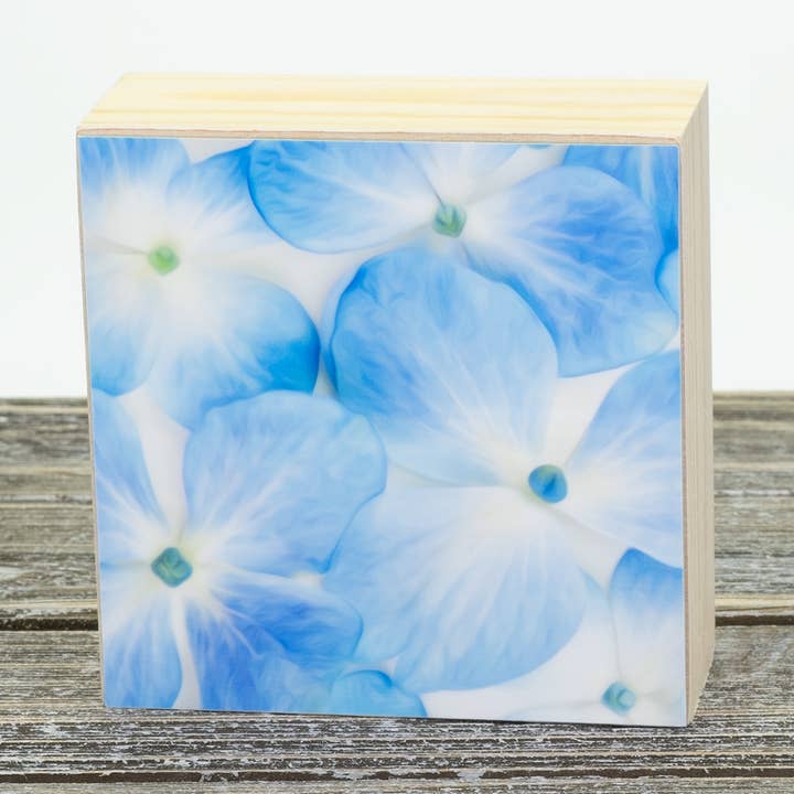 Photographie en aluminium de 4 po x 4 po d'hortensia sur bloc de bois pour la vente par Wyldeflower Studio