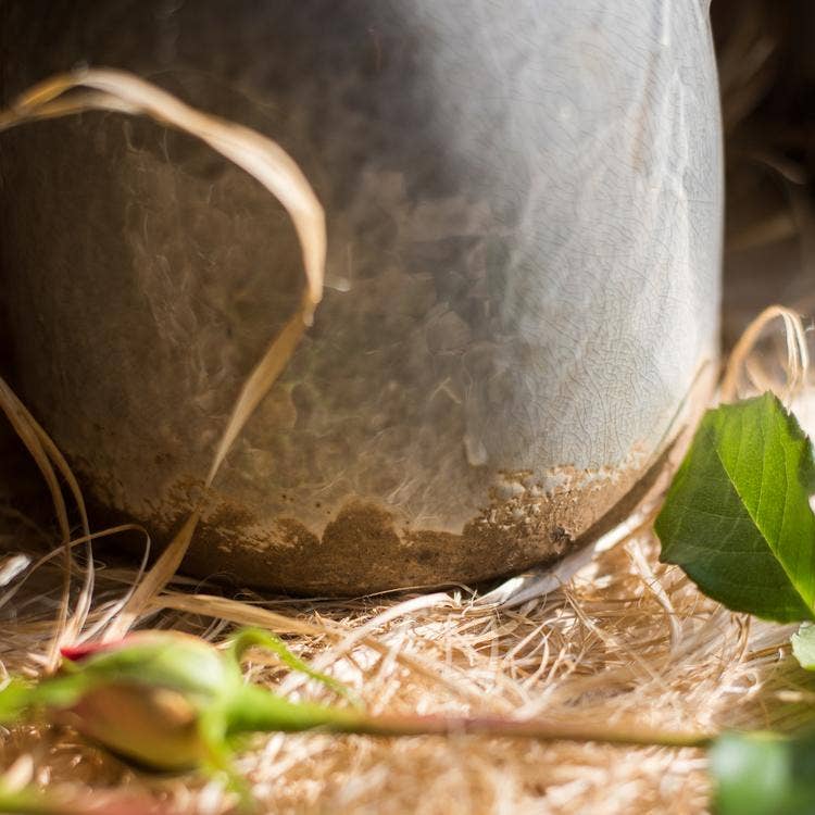 Rustic Reach - Vente Vases - Vase en poterie émaillée Binglie avec poignées7