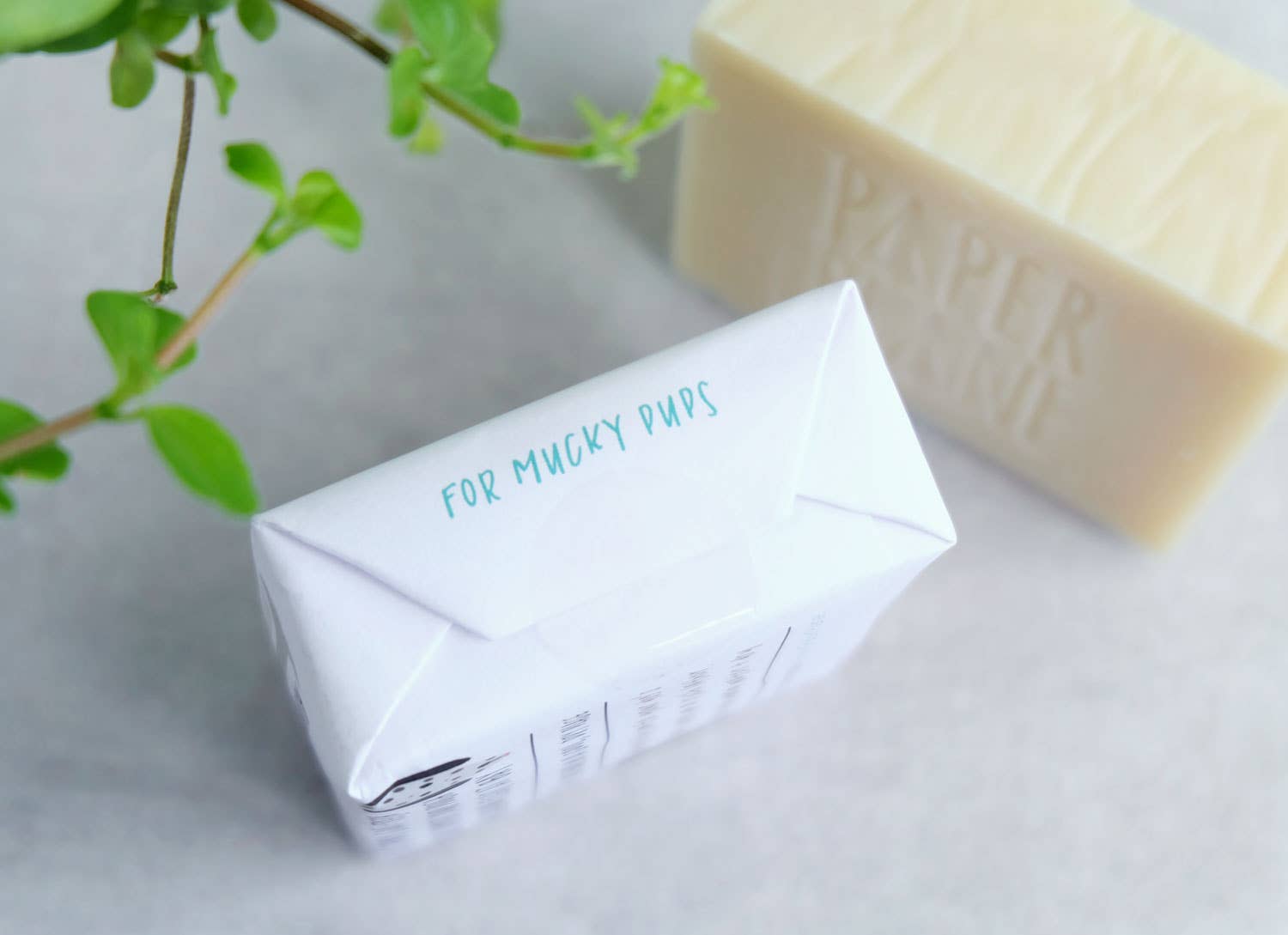 Paper Plane (US Duties Paid) - Wholesale Pet Shampoo - Dog - Dog Shampoo 100% Natural Vegan4