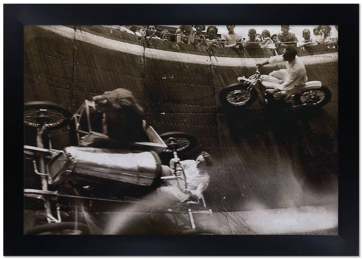 Black Market Art - Wholesale Art Print - Lion Wall of Death - Art Print1