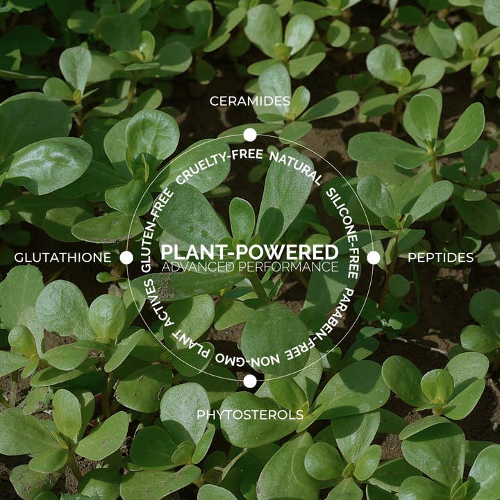 Fitglow Beauty - Wholesale Lip Balm - Ceramide Hydra-Balm Intro + Display4