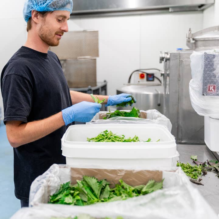 Full Circle - Wholesale Liqueur - Shiso Purple 700 ml – Floral Liqueur from Shiso & Plum2