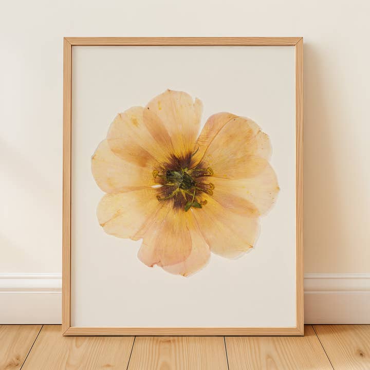 Långsam blomning för wholesale av Hope Steinle Pressed Flower Art
