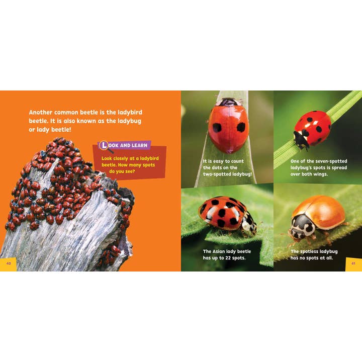 Simon & Schuster - Wholesale Book - Kids - Look and Learn Insects by