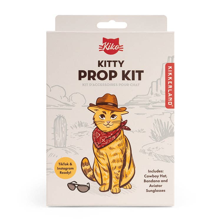 Kikkerland Design Inc - Wholesale DIY Craft Kit - Kiko Kitty Prop Kit0