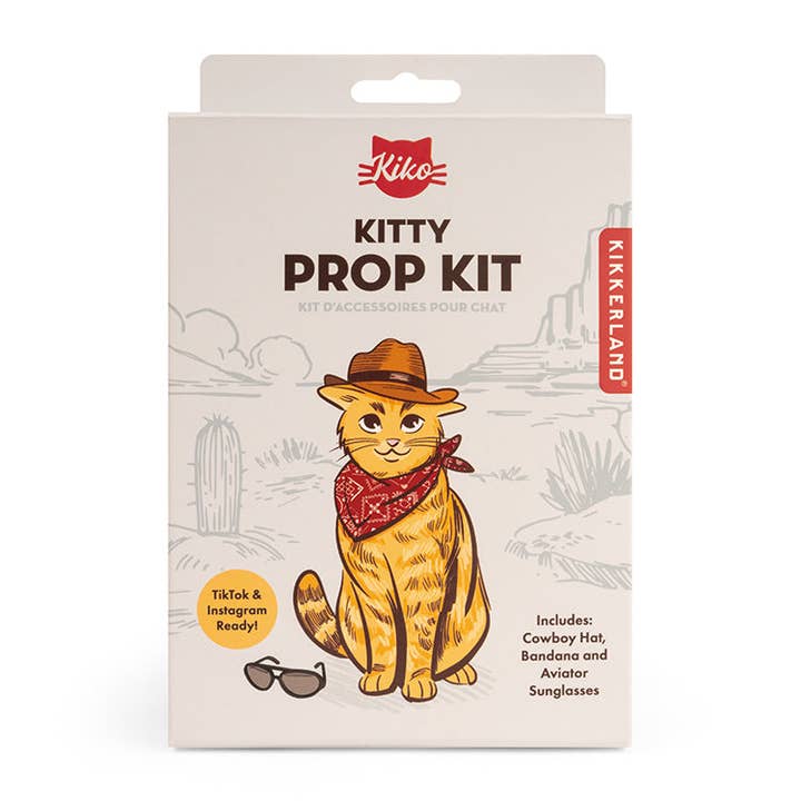 Kikkerland Design Inc - Wholesale DIY Craft Kit - Kiko Kitty Prop Kit