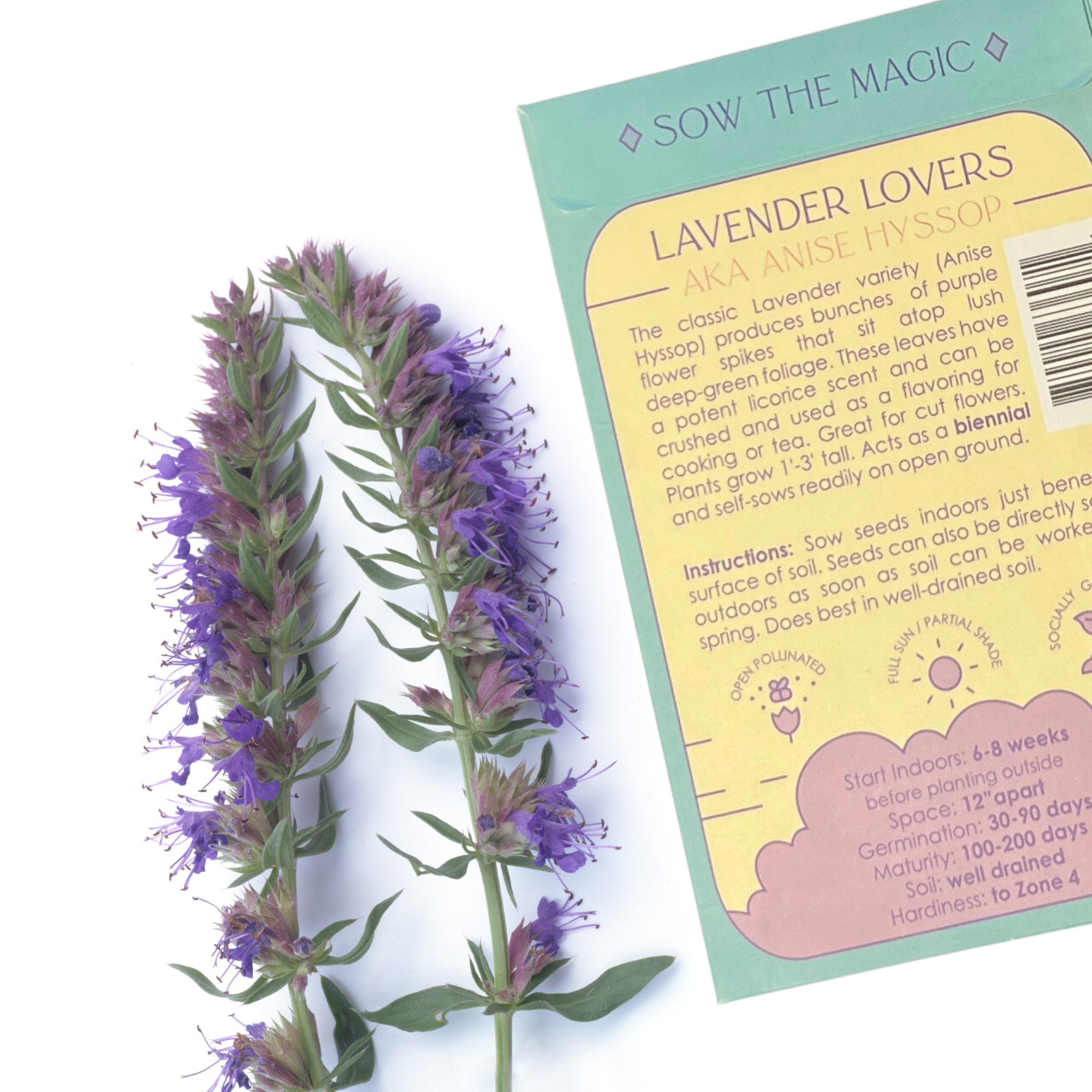 Sow the Magic - Wholesale Plant Seeds - Lavender Hyssop Lovers Tarot Seed Packet2