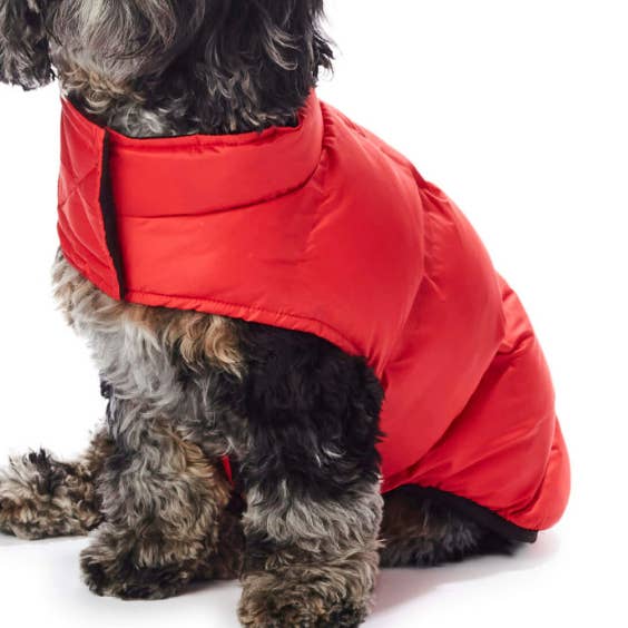Hotel Doggy x Mighty Pooch - Adventure Wear - Doudoune Pawfect pour la vente par Mighty Pooch