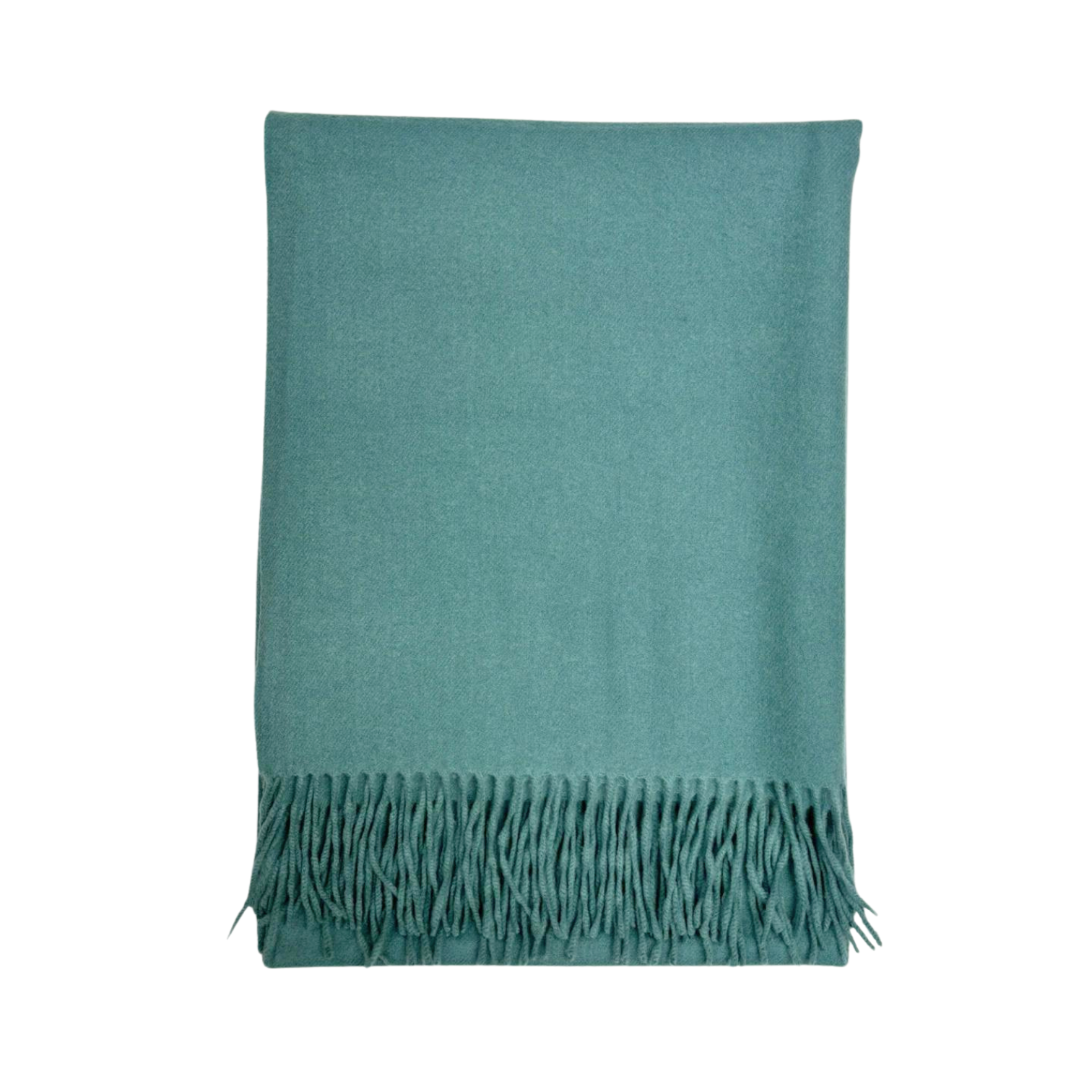 Lili Scarves (US Duty Free) – wholesale Scarf – Women's – Classic Plain Cashmere Blend Scarf with Tassels15