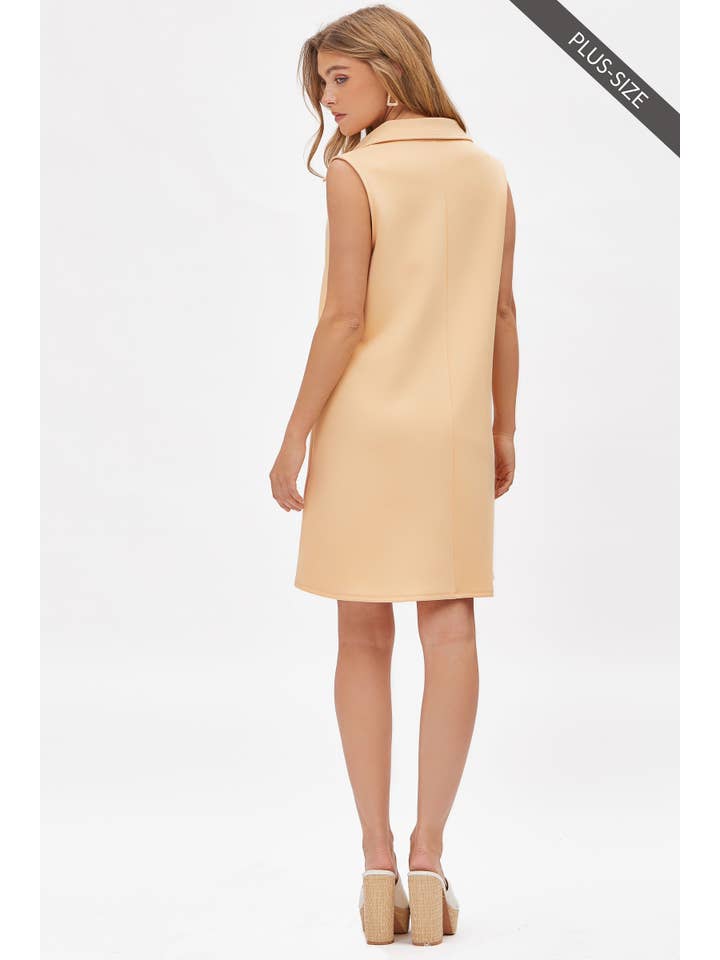 Dear Scarlett - Wholesale Dress - Women's - PLUS SIZE Collared Scuba Modal A-Line Dress TRV-CRUISEP