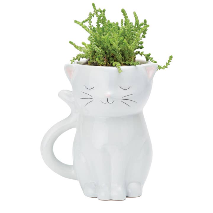 Streamline - Wholesale Plant Pot - Sweetie Cat Planter1