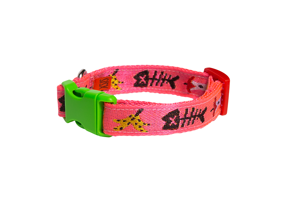 gentle thrills - Wholesale Pet Collar - Dog - trash day dog collar1