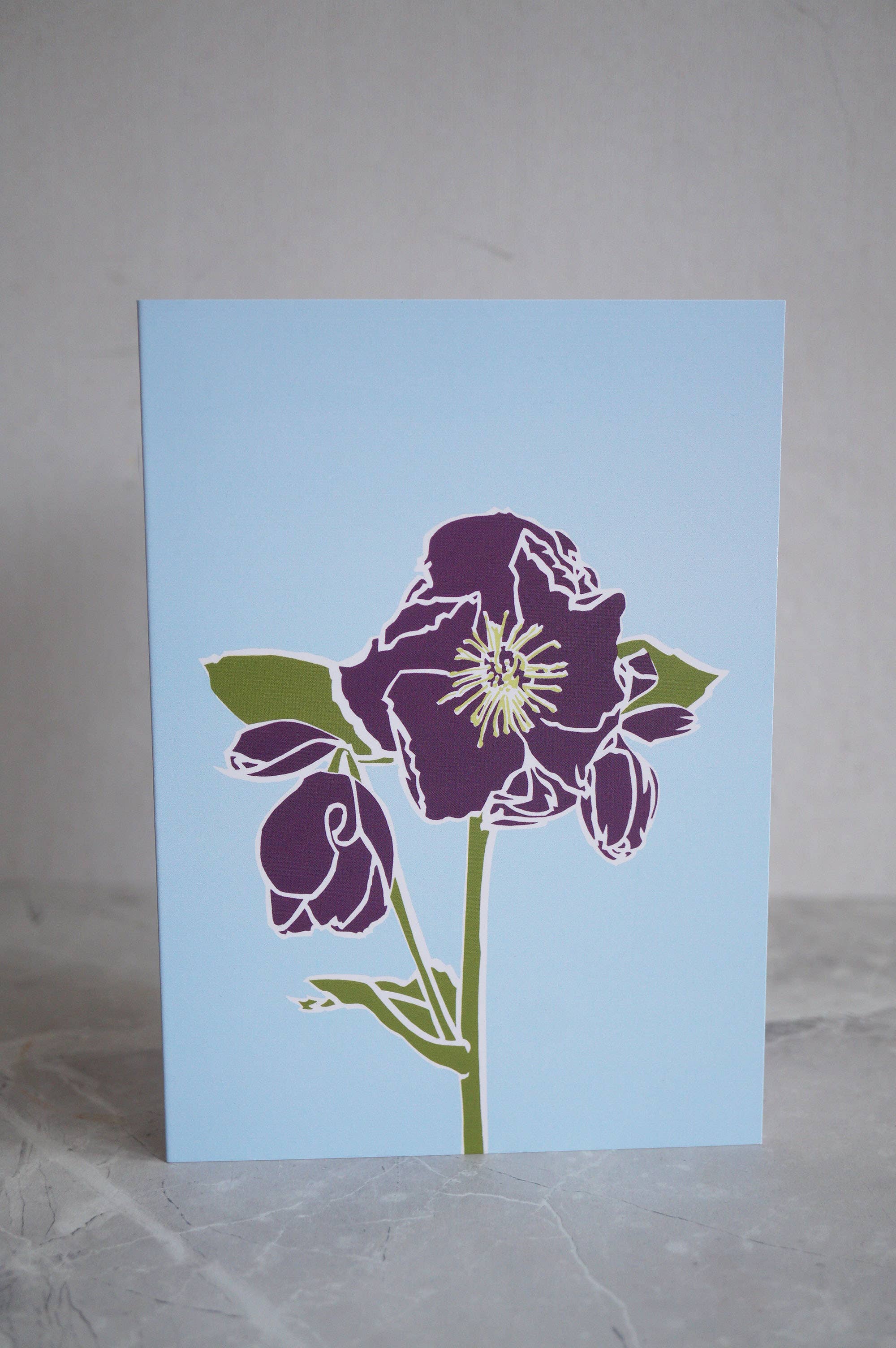 Charlotte Noar - Wholesale Everyday Greeting Card - Hellebore greeting card1