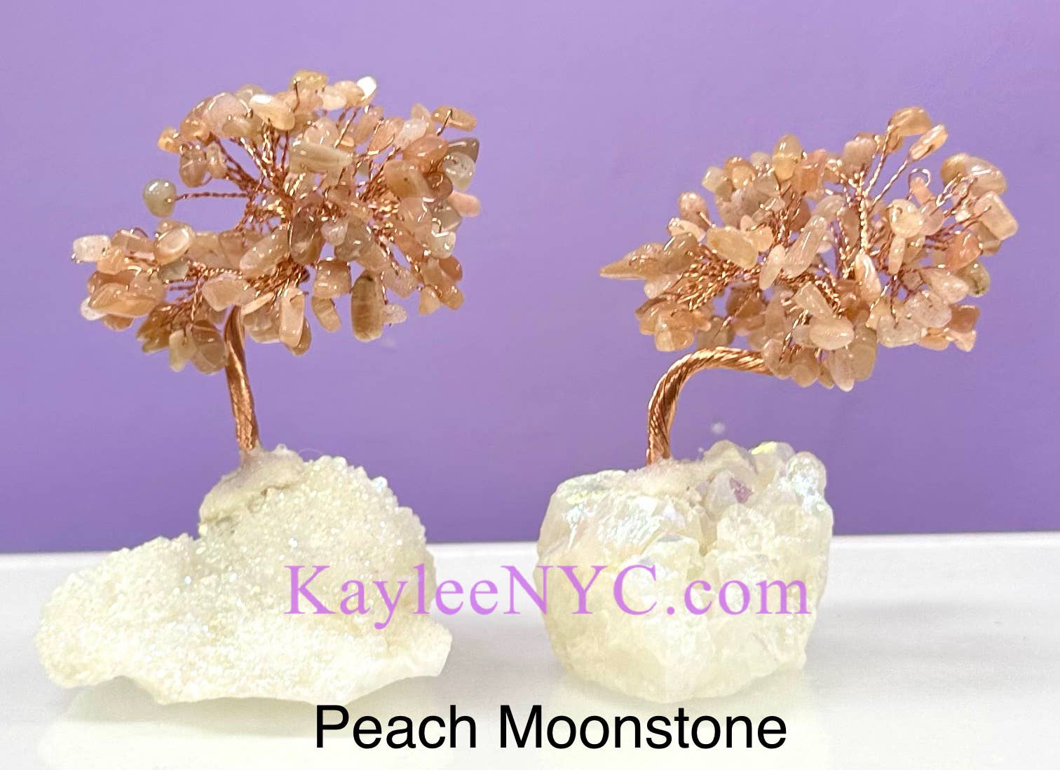 KayleeNYC - Wholesale Decorative Tabletop Object - Bonsai Tree with Angel Aura Quartz Cluster Base6