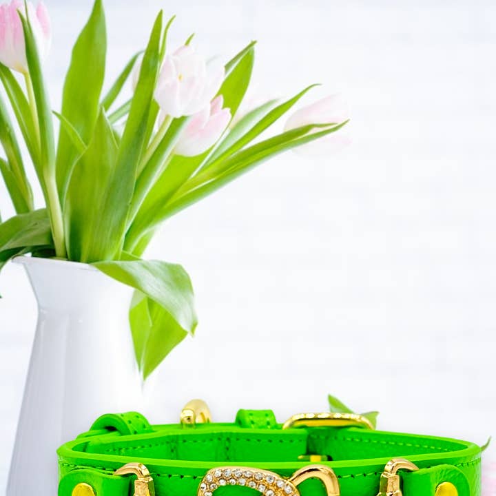 PupWiser - Wholesale Pet Collar - Dog - "D" Diamond Handmade Leather Dog Collar3