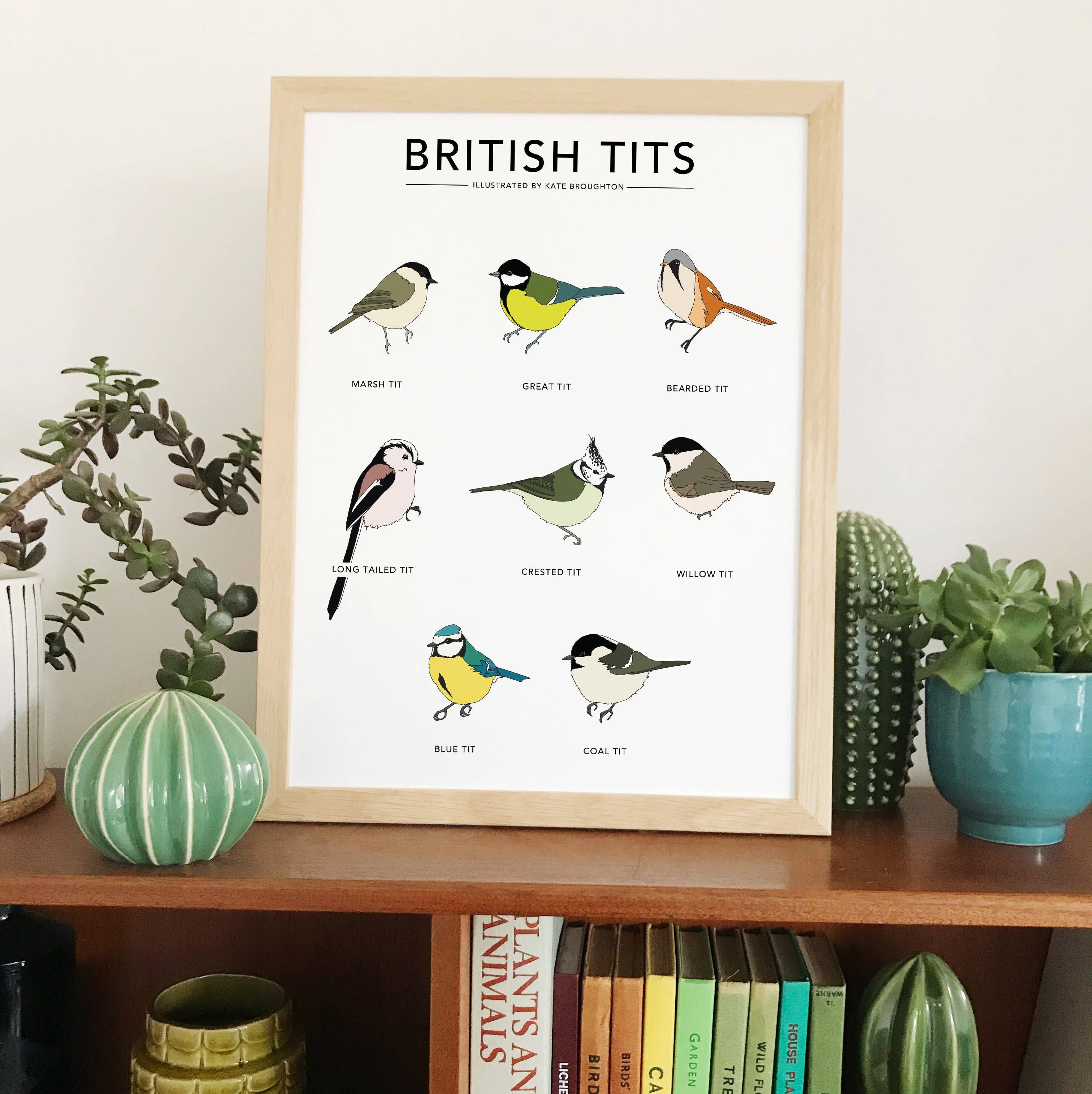 Kate Broughton - Wholesale Art Print - British Tits Print1