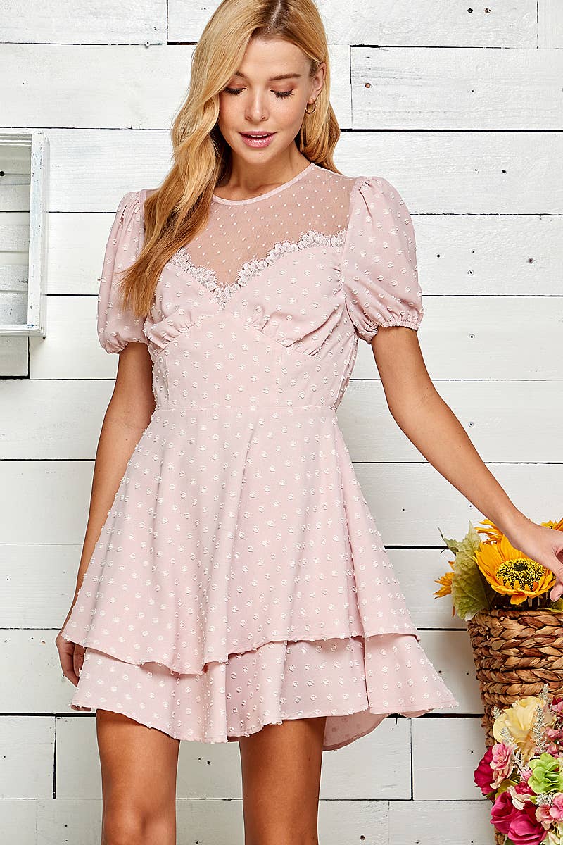 Sweet Lemon - Wholesale Dress - Women's - Dottie Veil Open Back Mini Dress