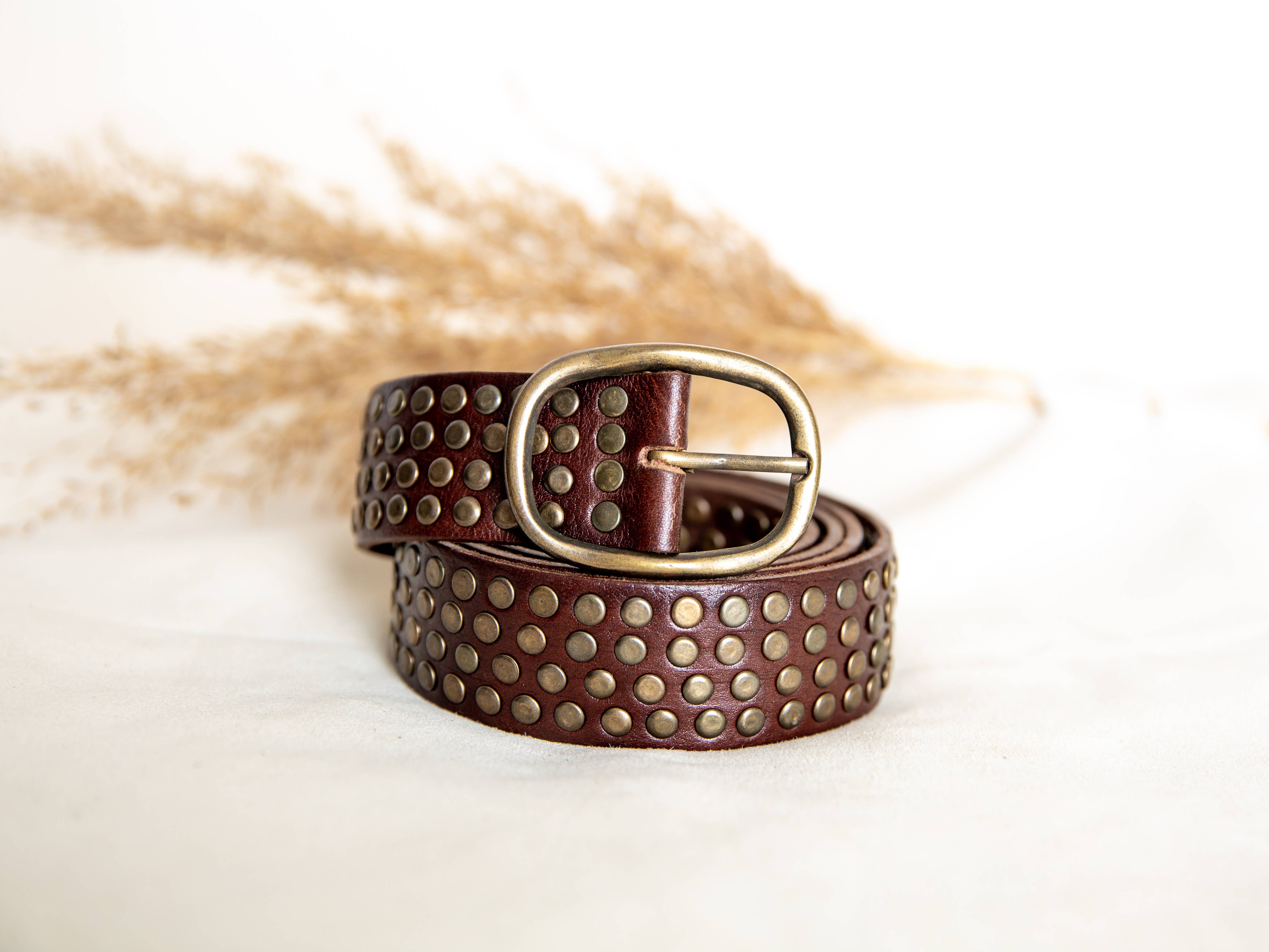 Lula Natura - Wholesale Belt - Women's - DARK BROWN LEATHER BELT WITH STUDS0