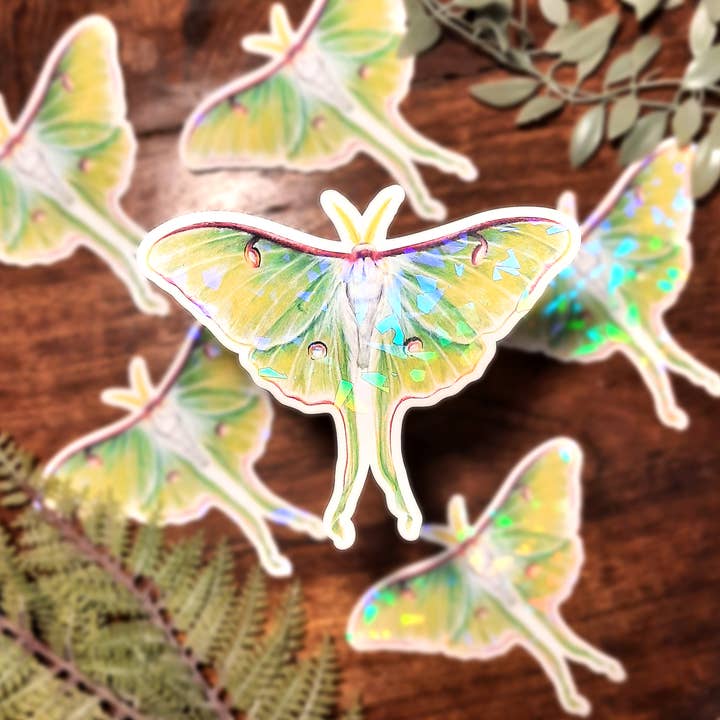 Holographic Luna Moth Insect Water-Resistant Vinyl Sticker for wholesale by ANR Illustrations