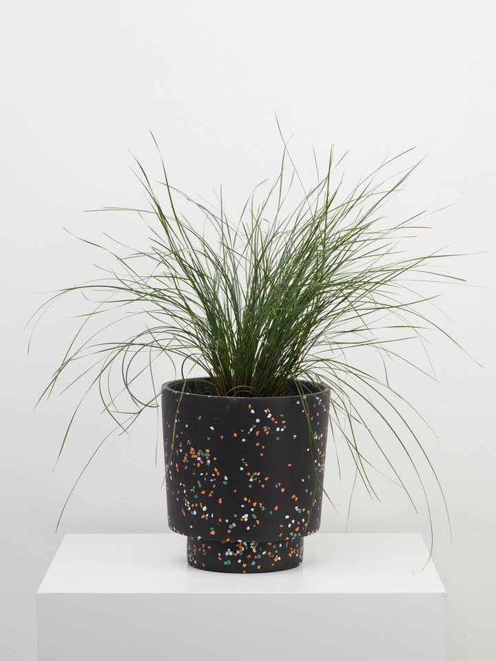 Terrazzo Banjo Pot - Black Terrazzo for wholesale by Capra Designs (Aus + NZ)