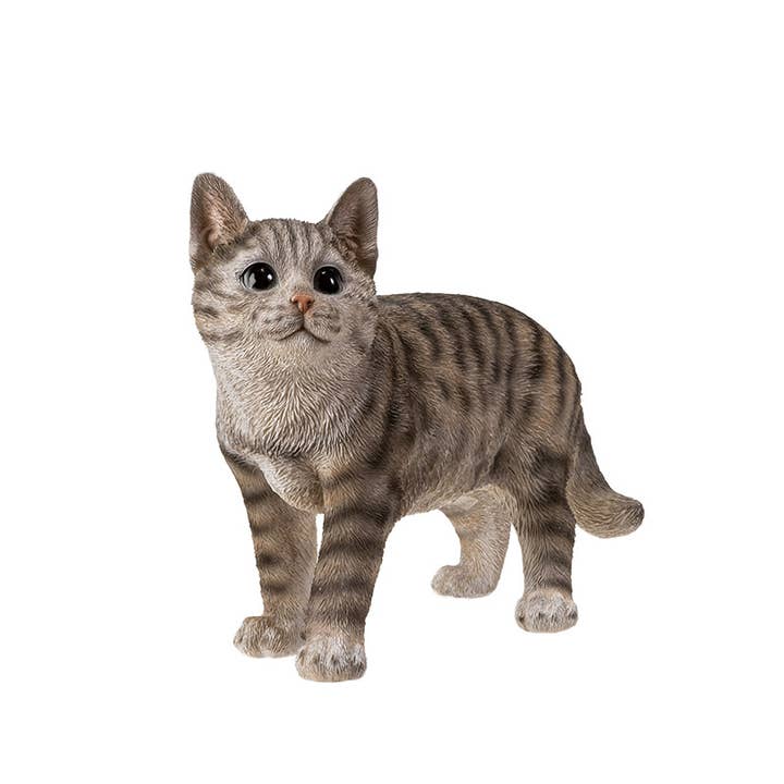 Pacific Trading - Venta al por mayor Figura decorativa - 15431 Gato Tabby Gris C/4