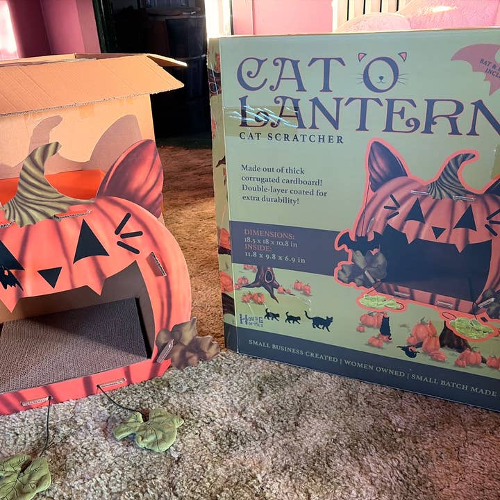 Cat'o'Lantern Cat Scratcher Pumpkin for wholesale by House of Hex