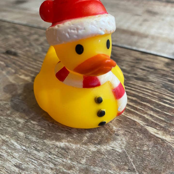 Dukki Gifts - Wholesale Bath toy – Baby - Christmas Character Rubber Ducks7