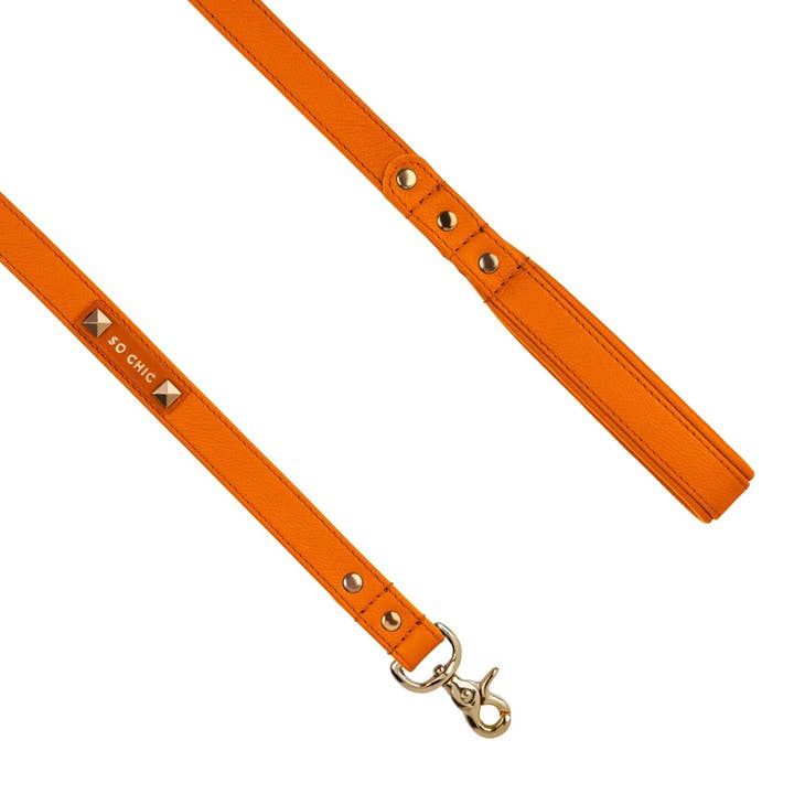 Dog leash - Tangerine Orange 🧡 for wholesale by Pet So Chic