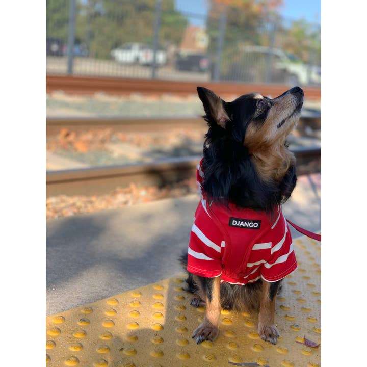 DJANGO - Wholesale Pet Hoodie - Dog - Dog Hoodie - Red1