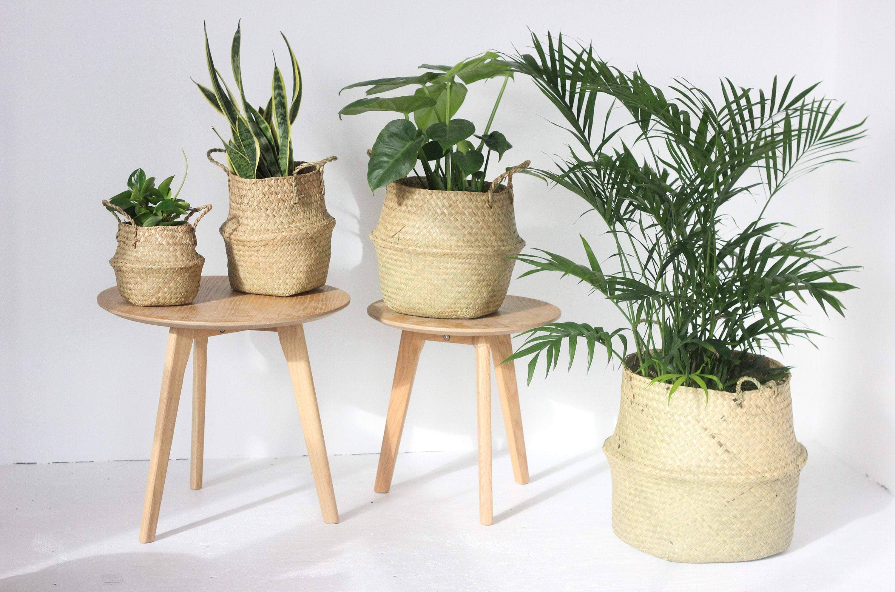 Sprout & About - Wholesale Plant Pot - Woven Seagrass Belly Basket Planter1