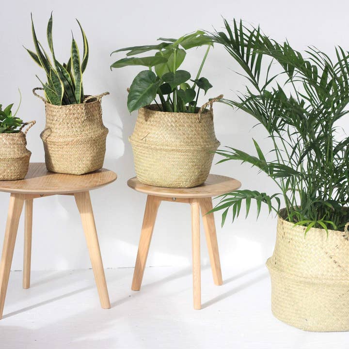 Sprout & About - Wholesale Plant Pot - Woven Seagrass Belly Basket Planter1