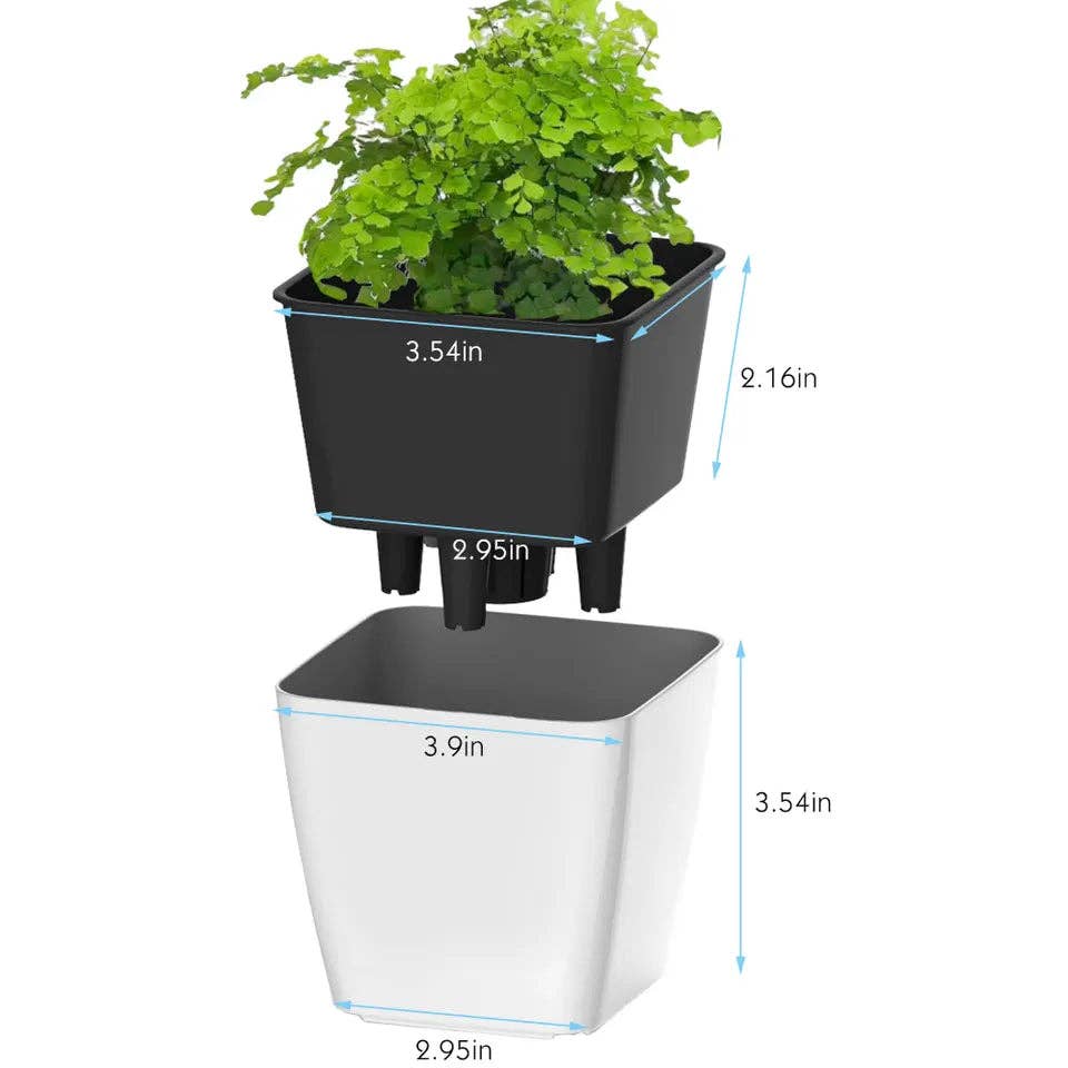 Lost in the Forrest – Vaso de plantas por atacado – Vaso Autorregerável6