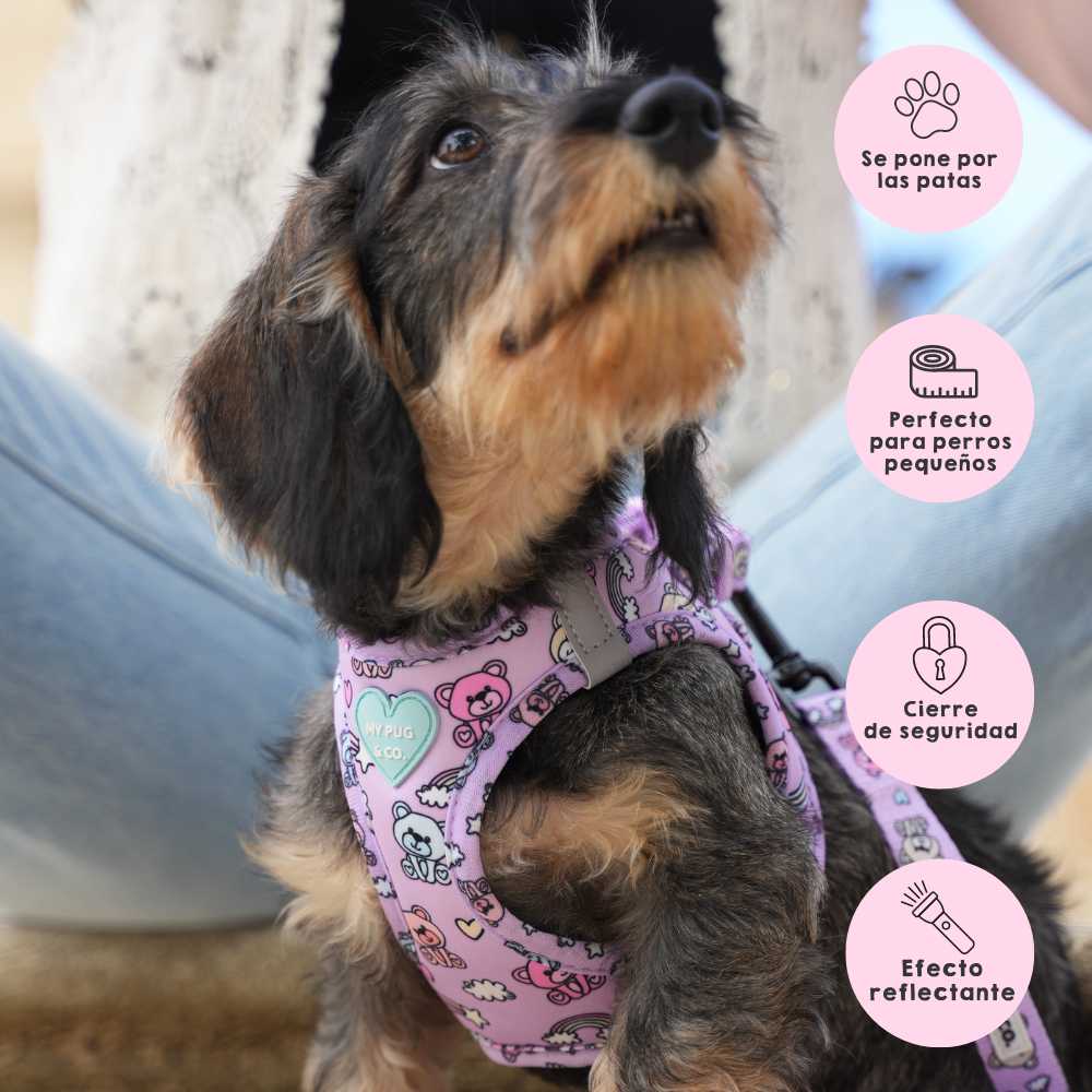 My Pug & Co. - Vente Harnais – chien - Harnais corporel pour chiots « Teddy Bears »3