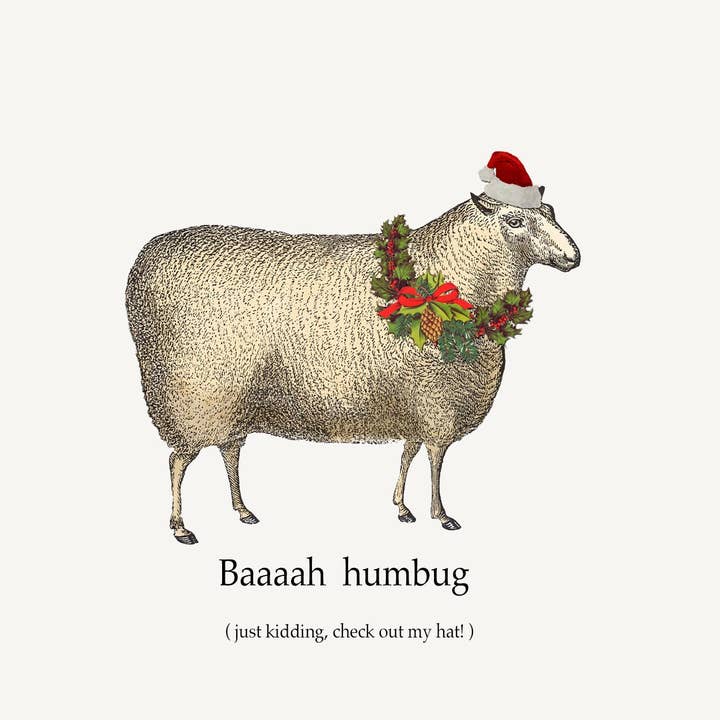 P. Flynn Design / Phun House - Wholesale Christmas Card - Baaaah Humbug • A-2 Holiday Greeting Card