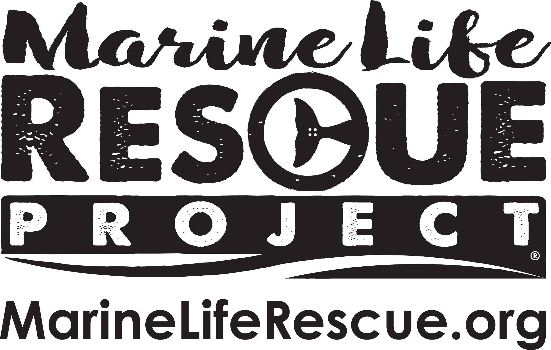 Marine Life Rescue Project Plush With Stretcher - Green Sea Turtle - Store  - Marine Life Rescue Project™