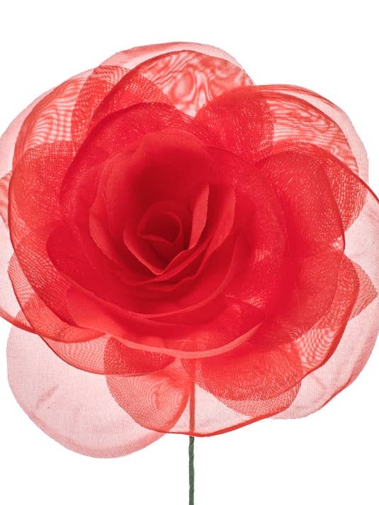 Open Rose Red for wholesale by Flormoda