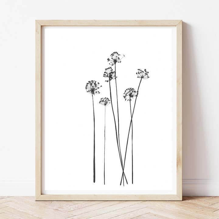 Mælkebøtter Minimalistisk Botanisk Kunst Print for engroshandel hos LaCott Fine Art