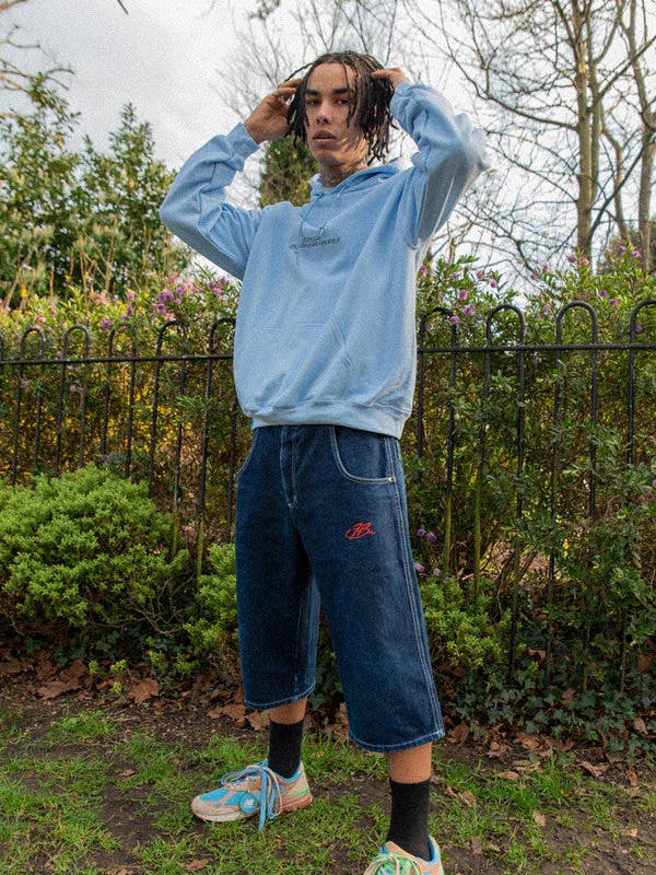 Zware hoodie in lichtblauw met trippy paddenstoelenprint voor wholesale door Dream But Do Not Sleep